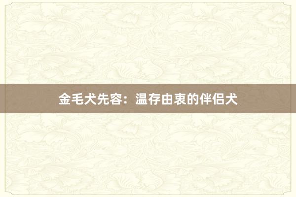 金毛犬先容：温存由衷的伴侣犬